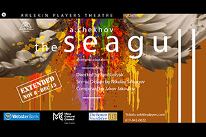 Seagull